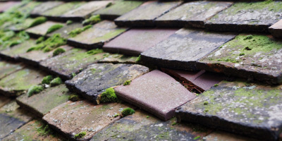 Falmer roof repair costs